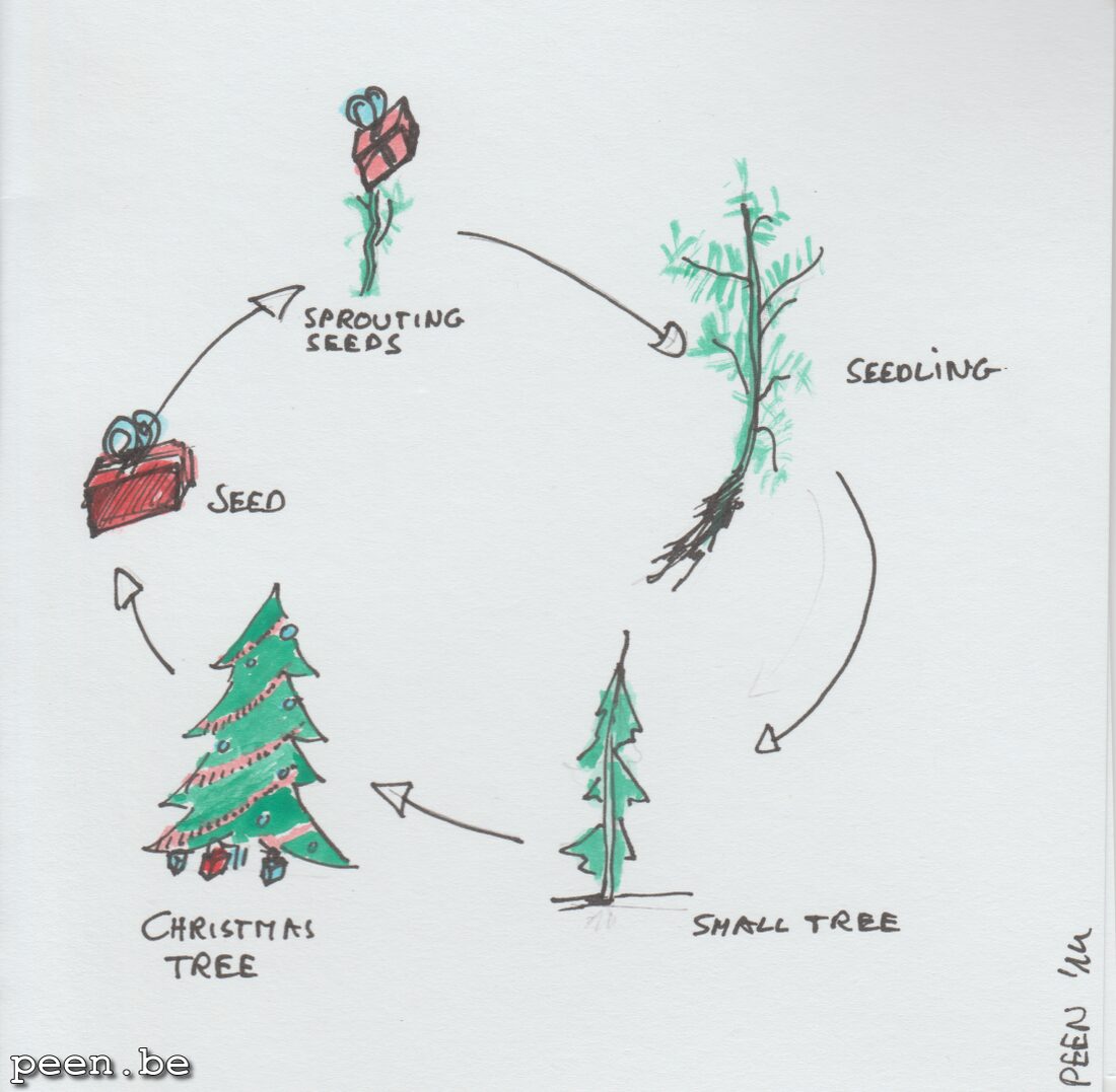 Christmas Cards