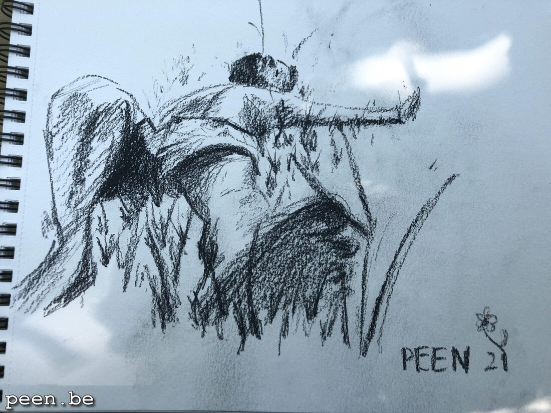 Drawing Class