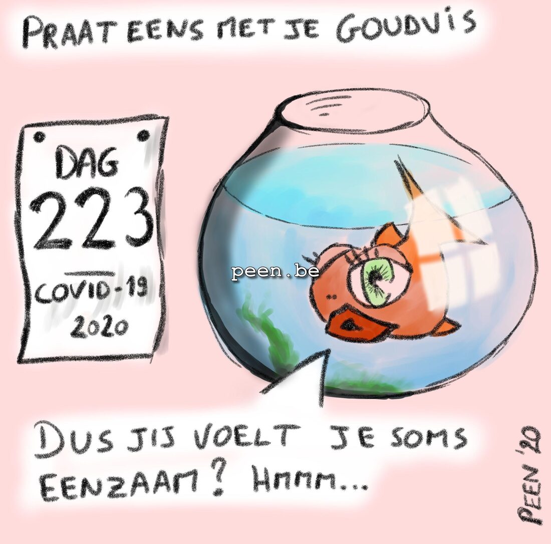 Goldfish & the Helipoepter