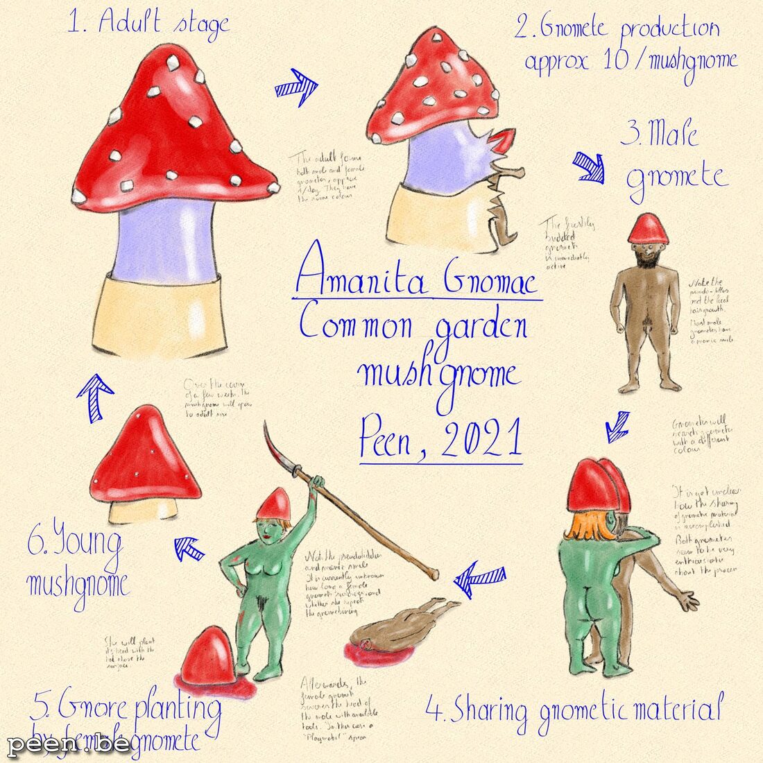Mushgnome